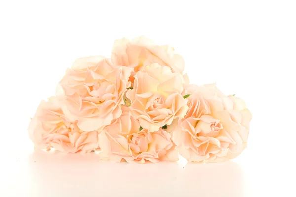 Buquê de belas rosas — Fotografia de Stock