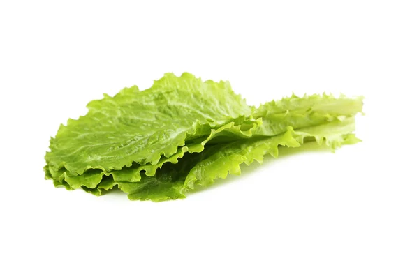 Fräsch sallad sallad — Stockfoto