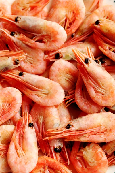 Fondo de camarones recién cocidos — Foto de Stock