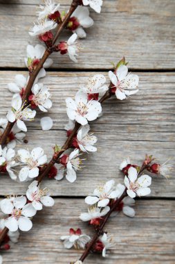 Ağaç dalları gri ahşap masaya çiçek ile