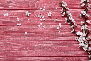 çiçekli ağaç dalları 