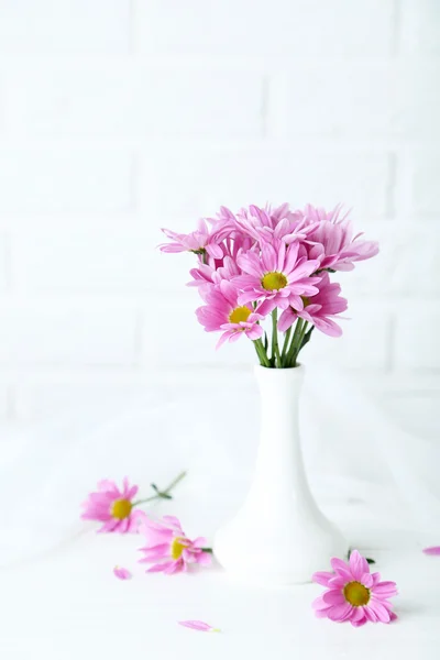 Pink chrysanthemum flowers — Stock Photo, Image