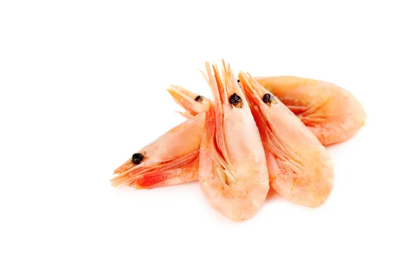 Fresh boiled shrimps — Stock Photo, Image