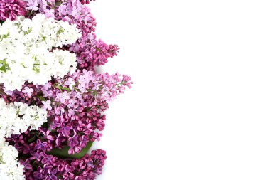 Çiçek açan leylak çiçekleri