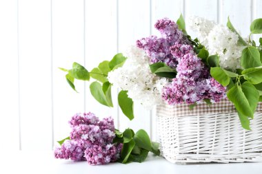 Sepet içinde Lila çiçek çiçeklenme