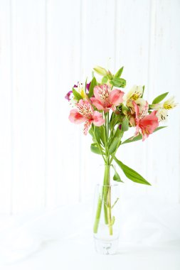Vazoda Çiçekler güzel alstroemeria