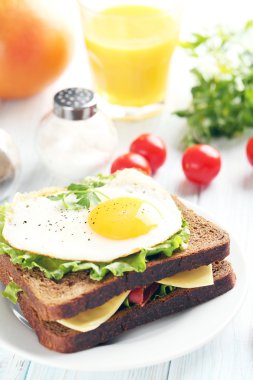 Sahanda yumurta ile tost plaka üzerinde 