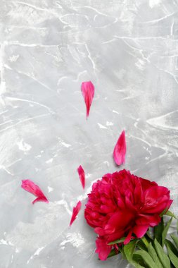 Kırmızı Şakayık çiçekleri