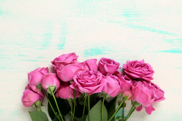 Beautiful pink roses — Stock Photo, Image