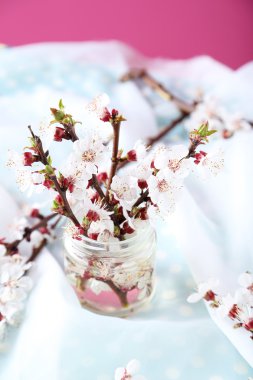 Şişe çiçekli ağaç dalları