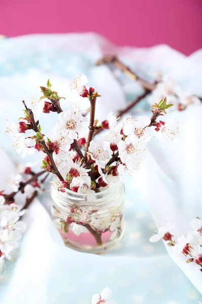 Tree branches with flowers in bottle — Stock Photo, Image