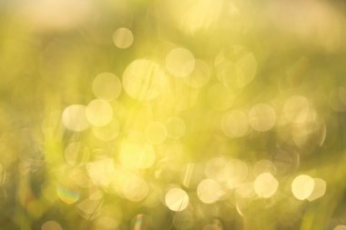 Güzel bokeh arkaplanı