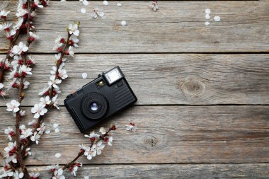 Ağaç dalları ile çiçek ve fotoğraf makinesi