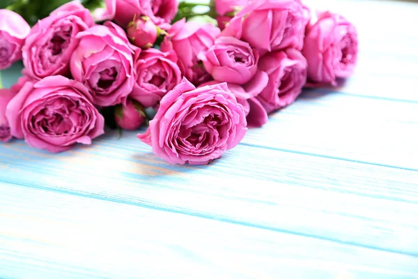 Gyönyörű rózsaszín rózsa, a kék tábla — Stock Fotó