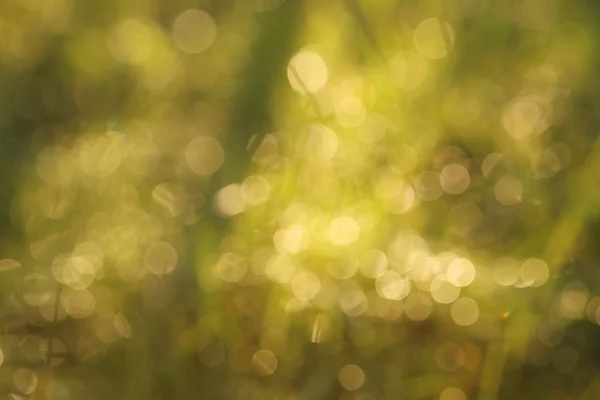 Beautiful bokeh background — Stock Photo, Image