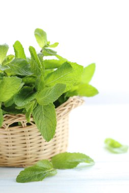 Sepet içinde taze nane yaprakları