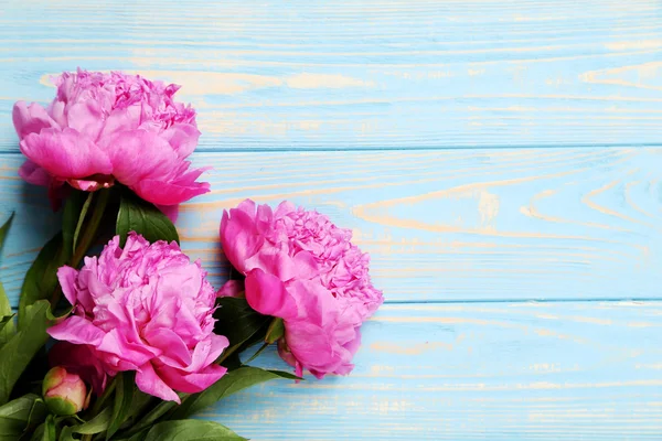 Bouquet of pink peony flowers — Stock Photo, Image