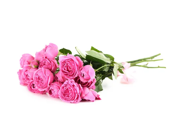 Vacker rosa rosor isolerade — Stockfoto