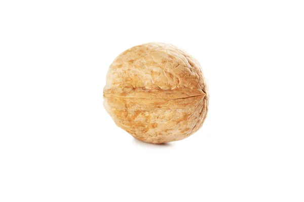 Walnut isolated on a white — Stock Photo, Image