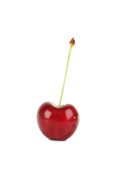 Sweet cherry isolerade — Stockfoto