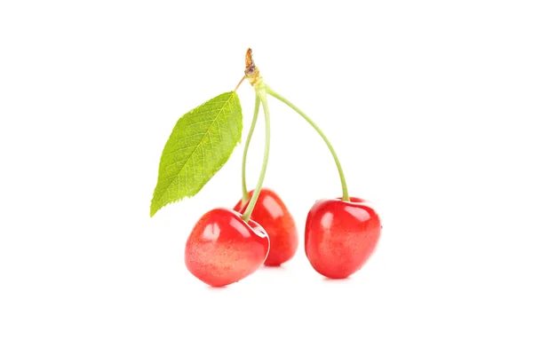 Cerezas maduras aisladas — Foto de Stock