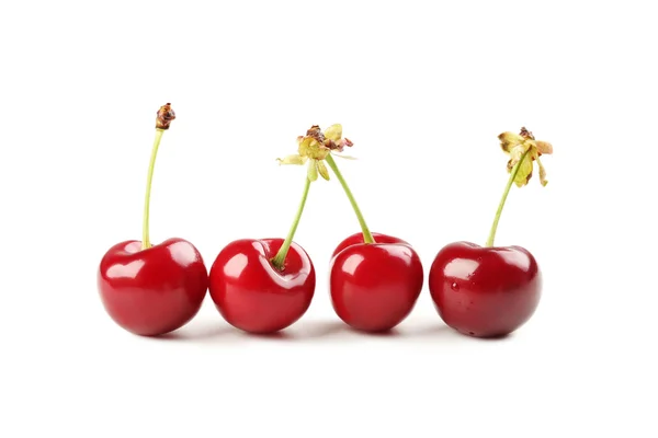 Cerezas dulces aisladas — Foto de Stock