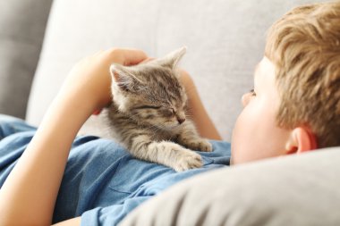 Çocuk yavru kedi gri Divan ile