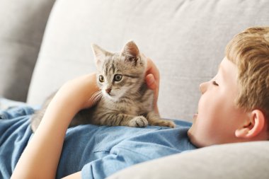 Çocuk yavru kedi gri Divan ile