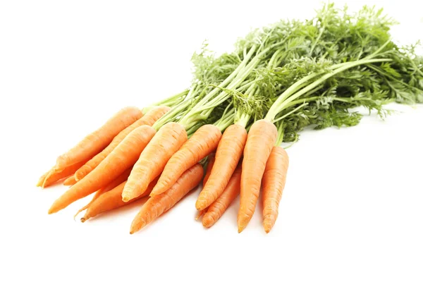 Fresh carrots isolated — Stock Photo, Image