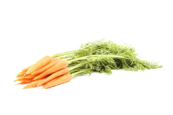 Fresh carrots isolated — Stock Photo, Image