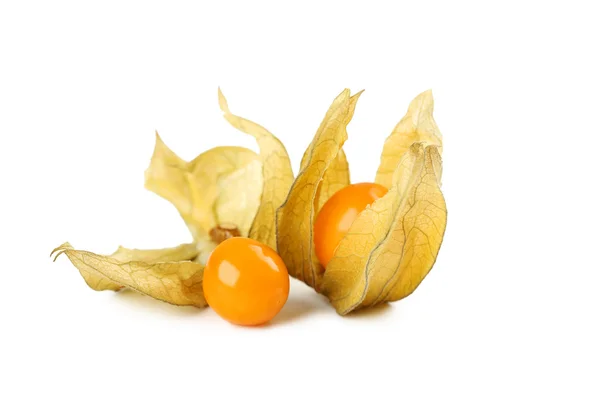 Physalis maduro isolado — Fotografia de Stock