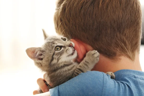 Child with kitten on hands — Stock Photo, Image