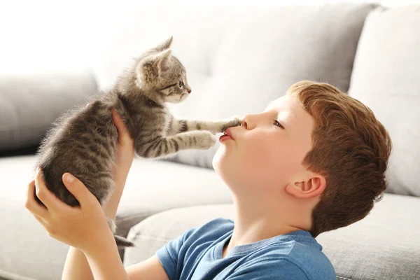 Child with kitten on grey sofa — Stock Photo, Image