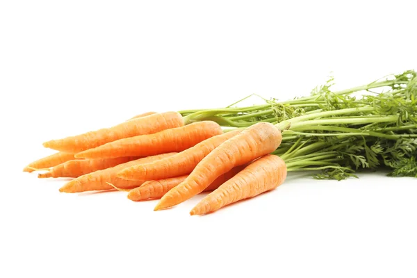 Fresh carrots isolated — Stock Photo, Image