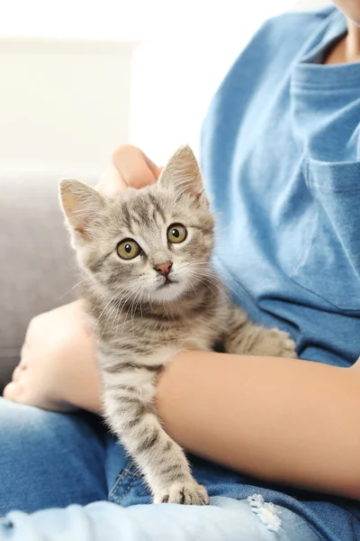Niño con gatito en sofá gris —  Fotos de Stock