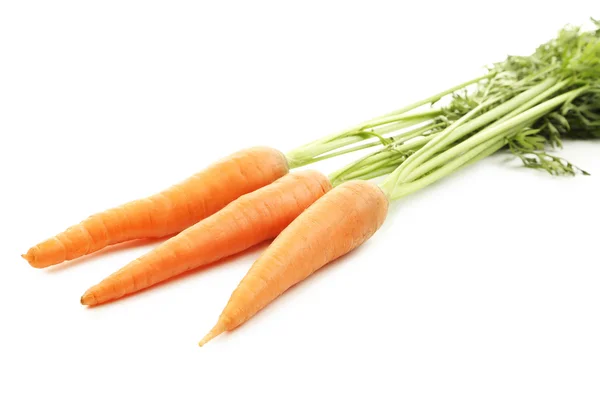 Fresh carrots isolated — Stock Photo, Image