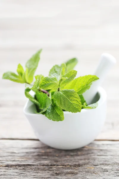 Verse muntblaadjes op tafel — Stockfoto