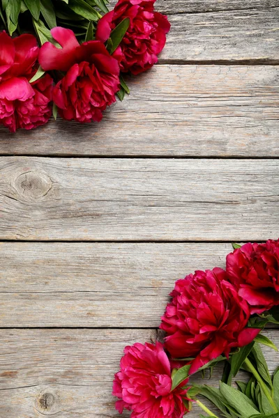 Ramo de flores de peonía roja — Foto de Stock