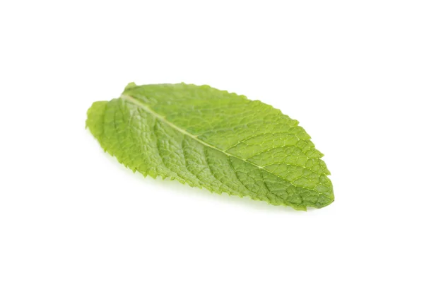 Hoja de menta fresca aislada — Foto de Stock