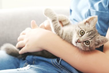 Yavru kedi evde çocukla