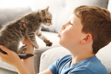 Yavru kedi evde çocukla