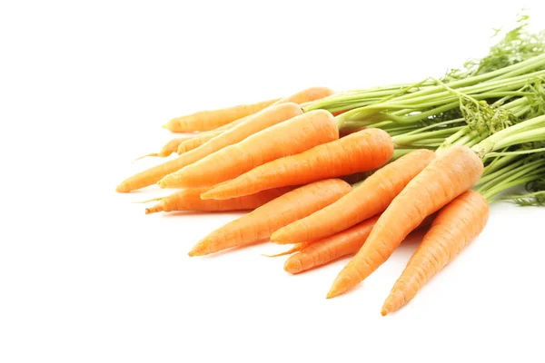 Fresh carrots isolated — Stock Photo, Image