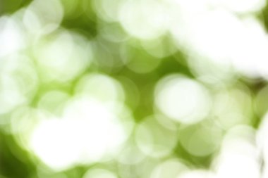 Yeşil doğa bokeh arka plan