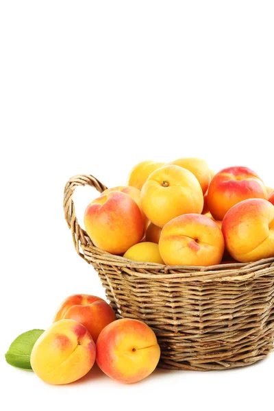Ripe apricots fruit isolated — Stock Photo, Image