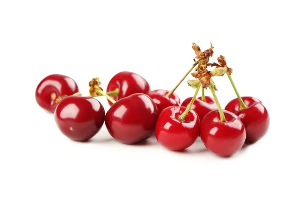 Cerezas dulces aisladas — Foto de Stock