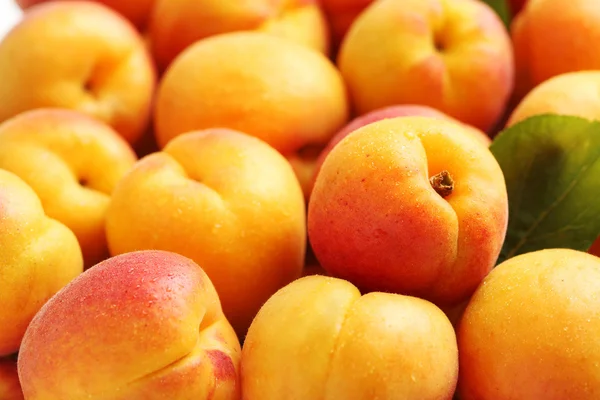 Aprikoser frukt bakgrund — Stockfoto