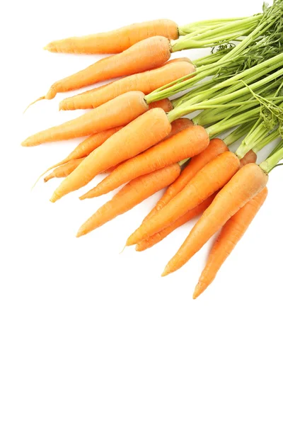 Fresh carrots isolated — Stock Photo, Image