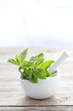 Masaya taze nane yaprakları