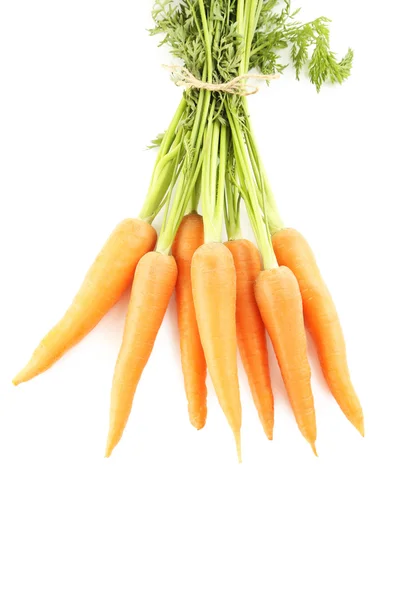 Fresh carrots isolated — Stock Photo, Image