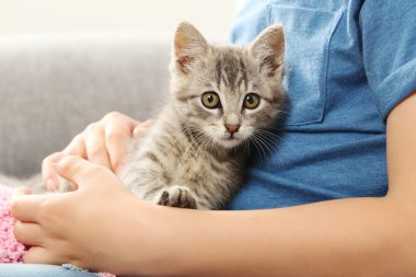 Yavru kedi evde çocukla